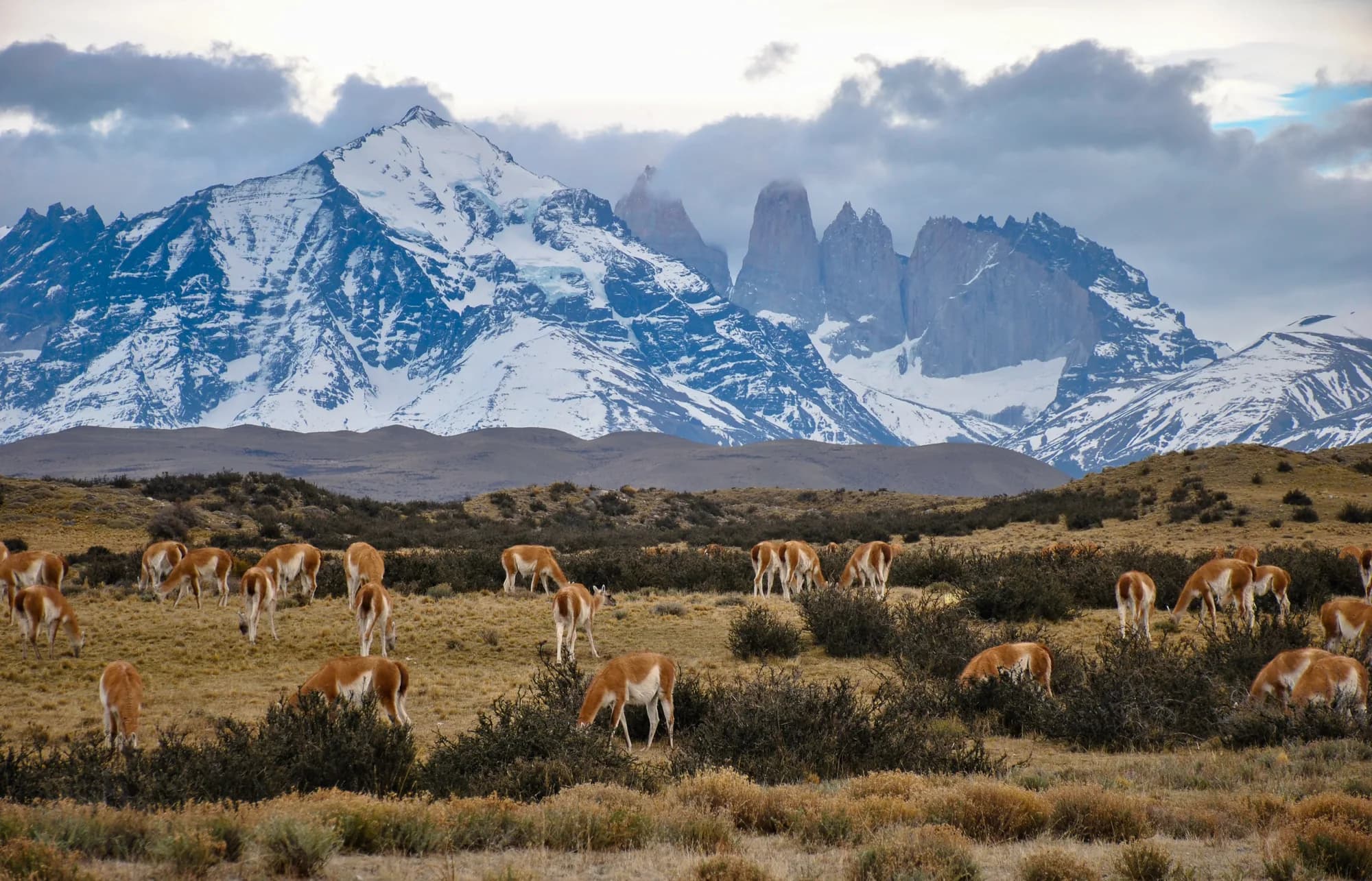 El Chaltén